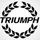 Reparații injectoare TRIUMPH